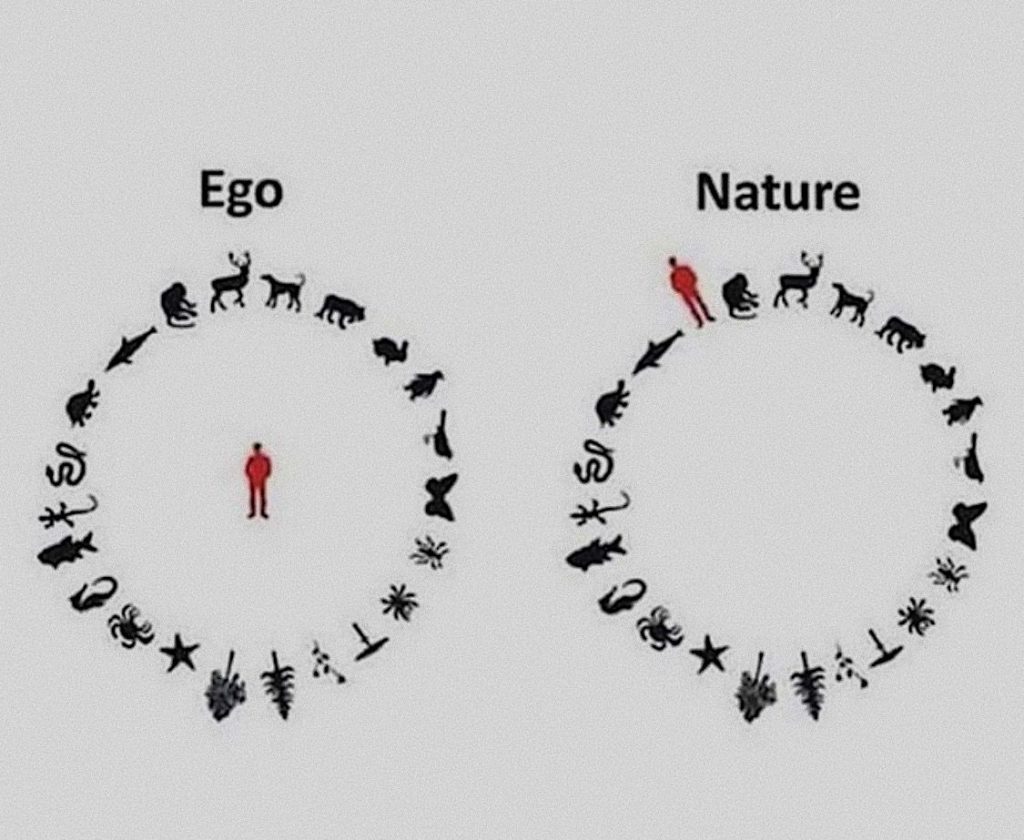 Can you discover yourself in nature, beyond ego and everyday life?