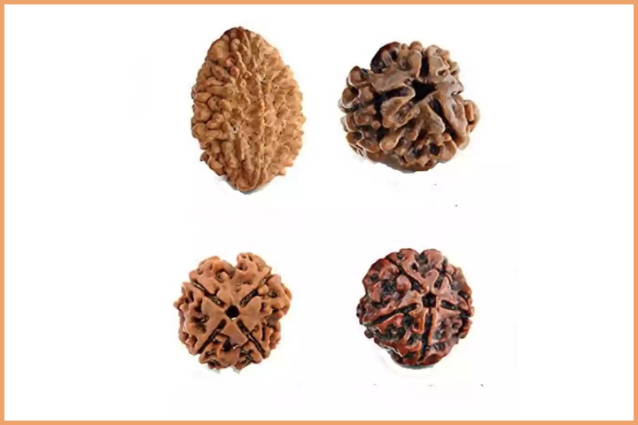 Different types of Rudraksha bead