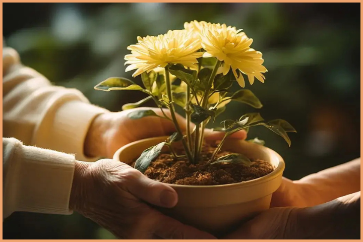 Develop the attitude of gratitude to be more mindful