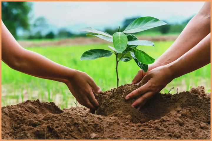 Connect with nature to be more mindful
