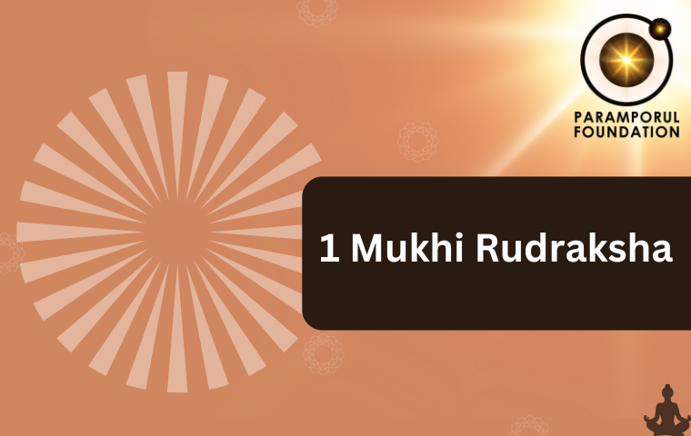 1 Mukhi Rudraksha (2)