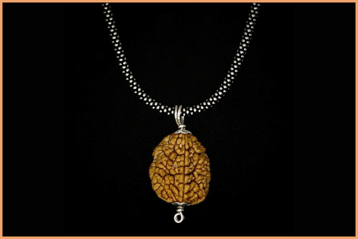 2 Mukhi Rudraksha (3)