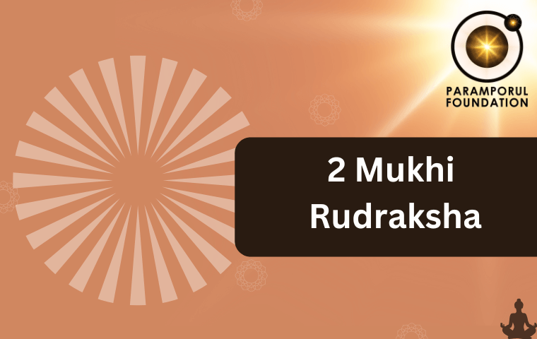 2 Mukhi Rudraksha