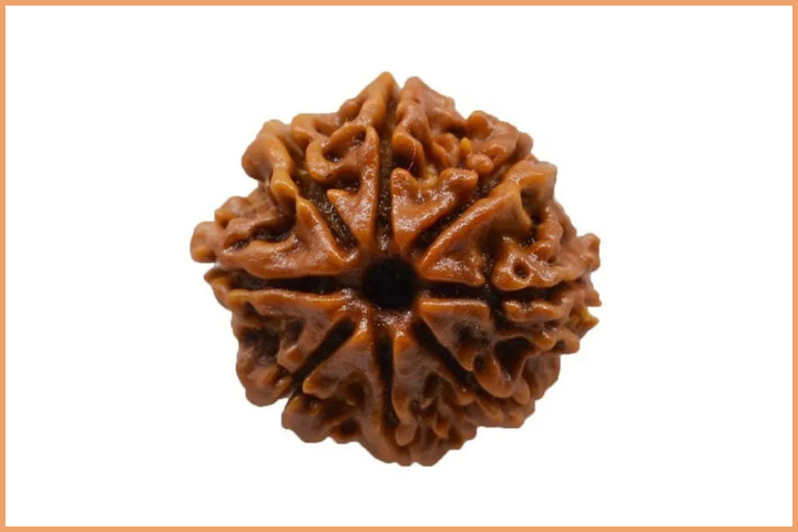 8 Mukhi bead to overcome Business Hurdles