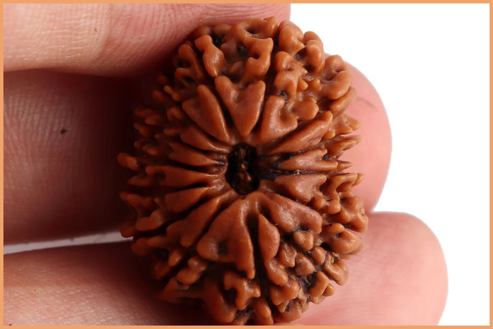 14 Mukhi bead for Business Enhancement