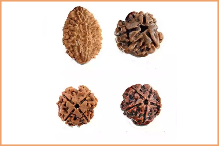 Different types of Rudraksha bead