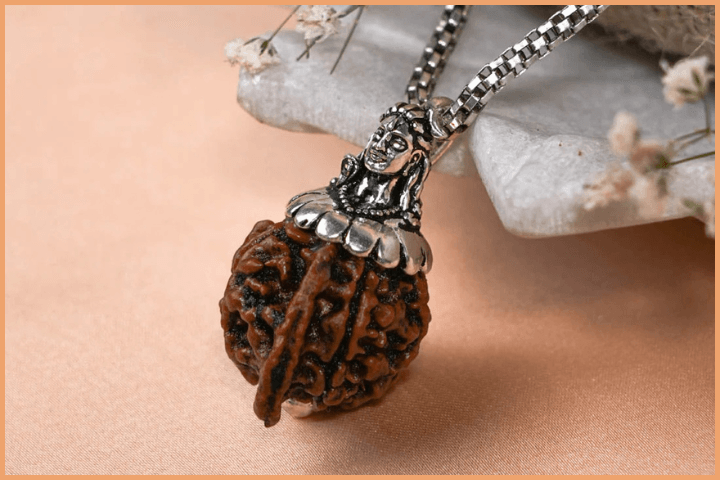 Difference between Rudraksha and Bhadraksha (2)