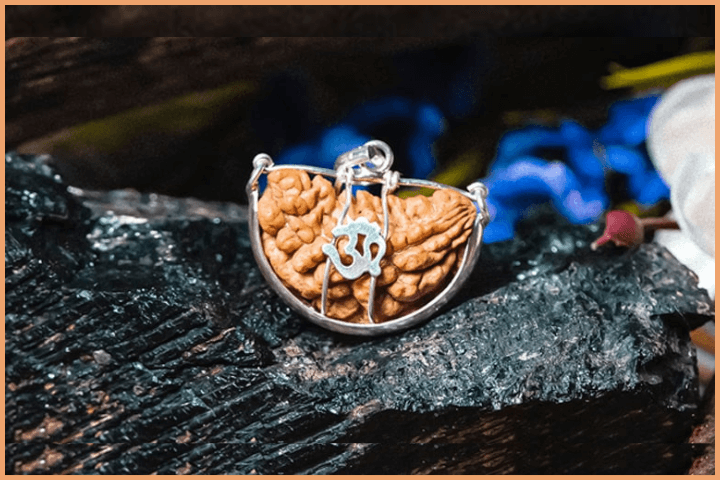 Difference between Rudraksha and Bhadraksha (3)
