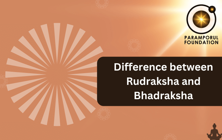 Difference Between Rudraksha and Bhadraksha: A Simple Guide ...