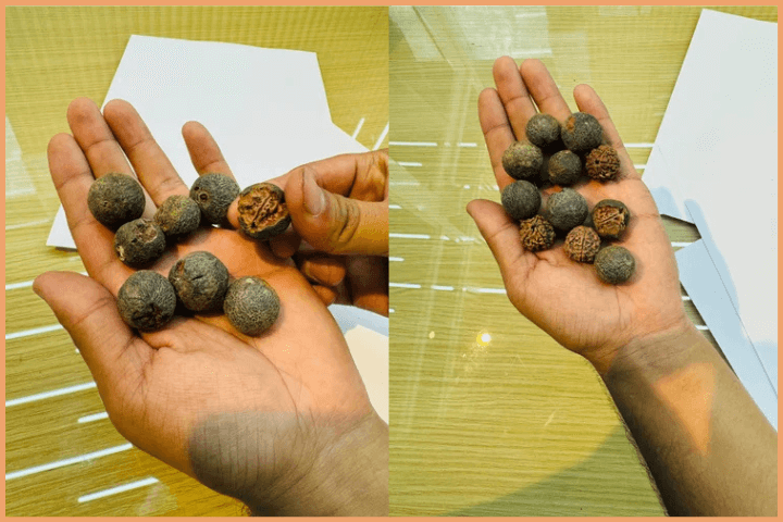 How to Remove Rudraksha Shell