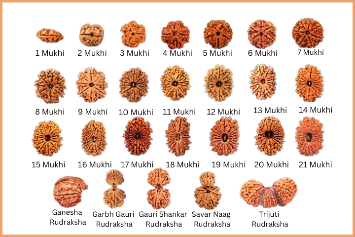 Different Types of Rudraksha Bead
