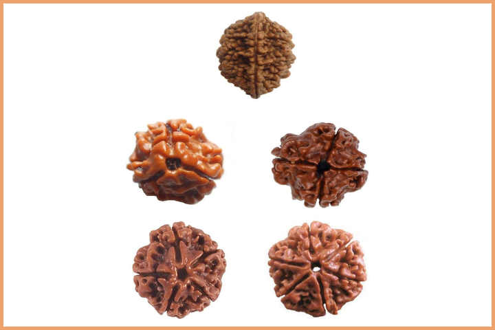 Different Types of Rudraksha Bead