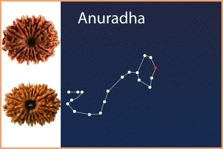 Anuradha