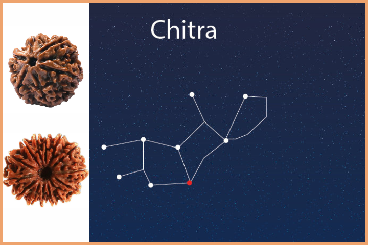 Chitra