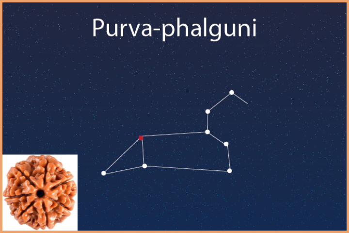 Purvaphalguni