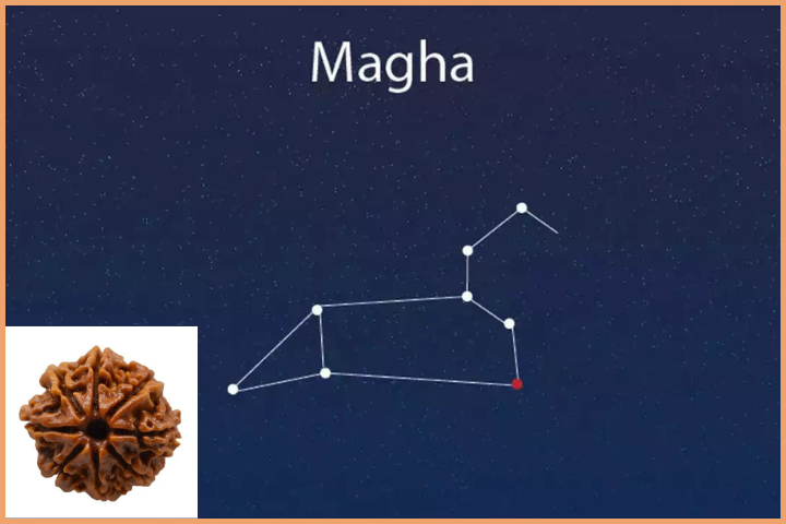Magha