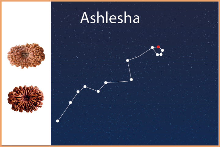 Ashlesha