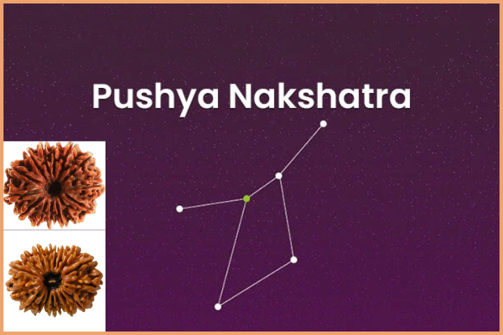 Pushya