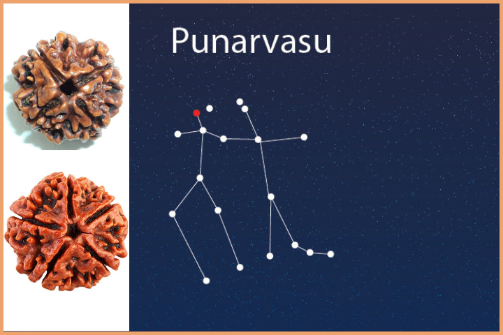 Punarvasu