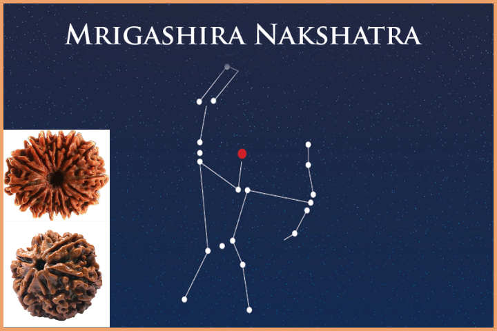 Mrigashira