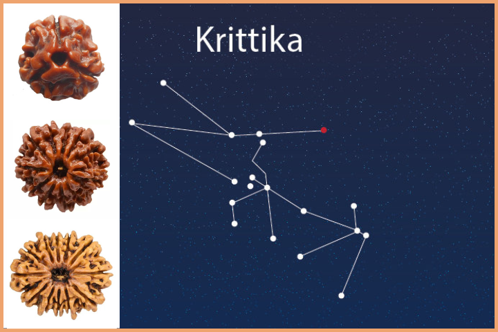 Rudraksha according to Nakshatra Krittika