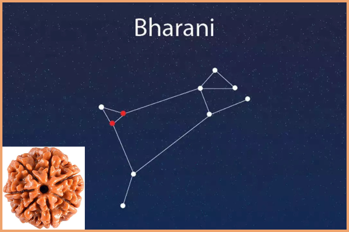Rudraksha according to Nakshatra Bharani