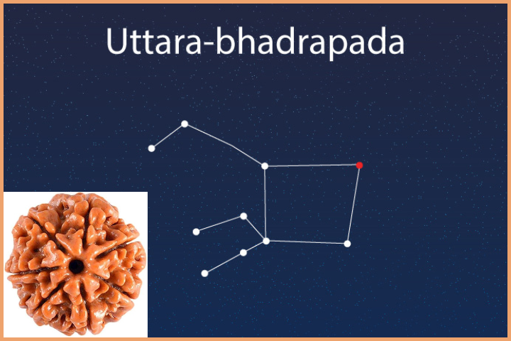 Uttara Bhadrapada Nakshatra - 7 Mukhi Rudraksha