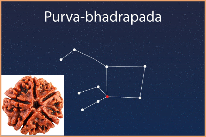 Purva Bhadrapada Nakshatra - 5 Mukhi