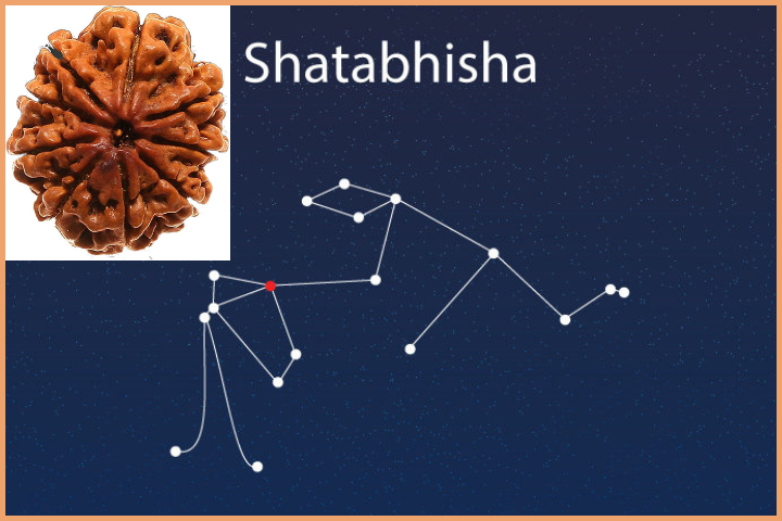 Shatabhisha Nakshatra - 9 Mukhi Rudraksha