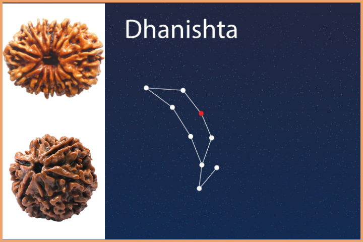 Dhanishta Nakshatra - 6 and 14 Mukhi Rudraksha