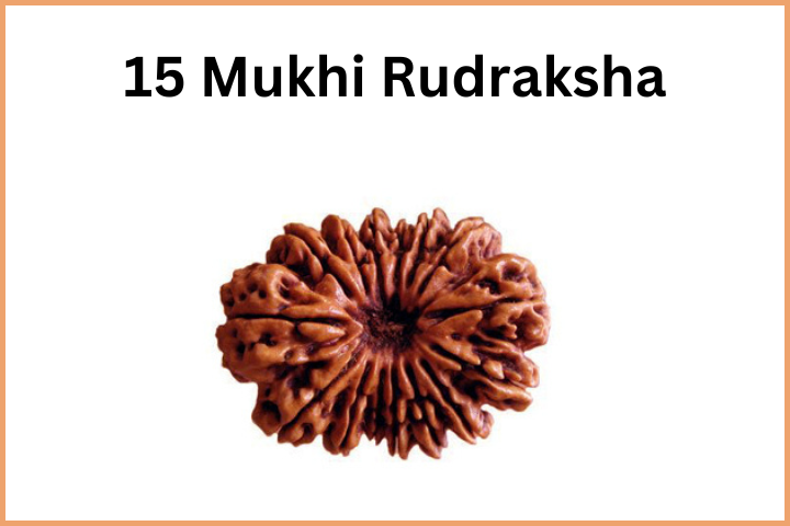 Types of Rudraksha (16)