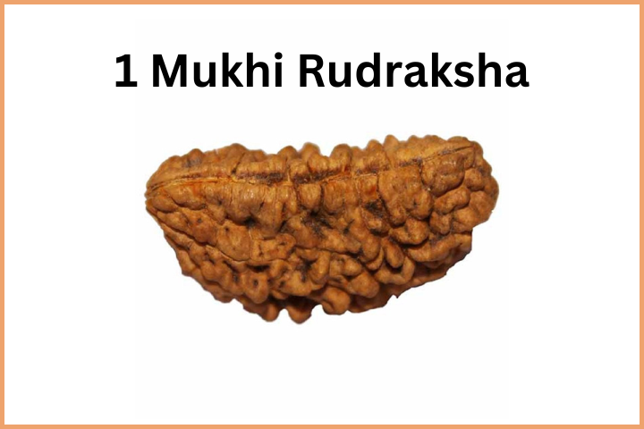 Types of Rudraksha (2)