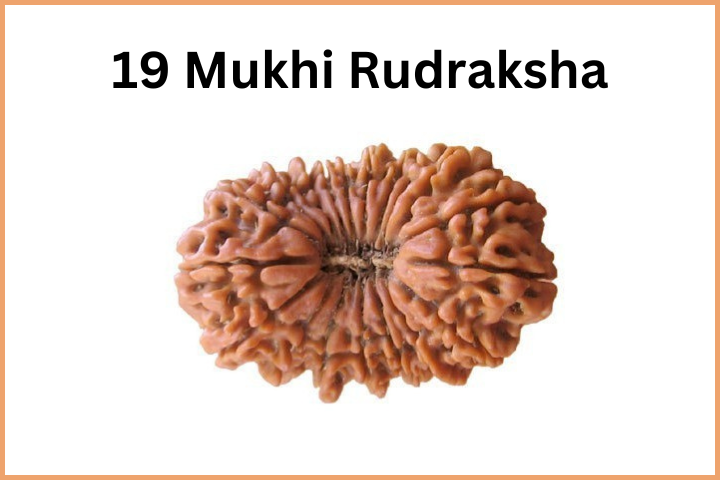 Types of Rudraksha (20)