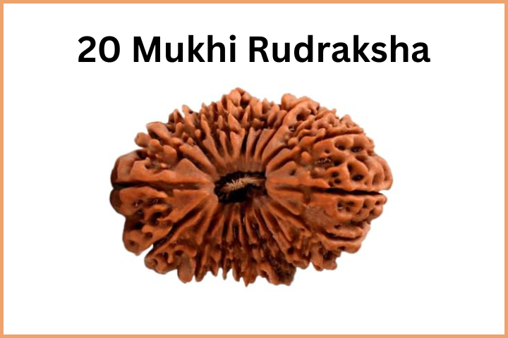 20 Mukhi