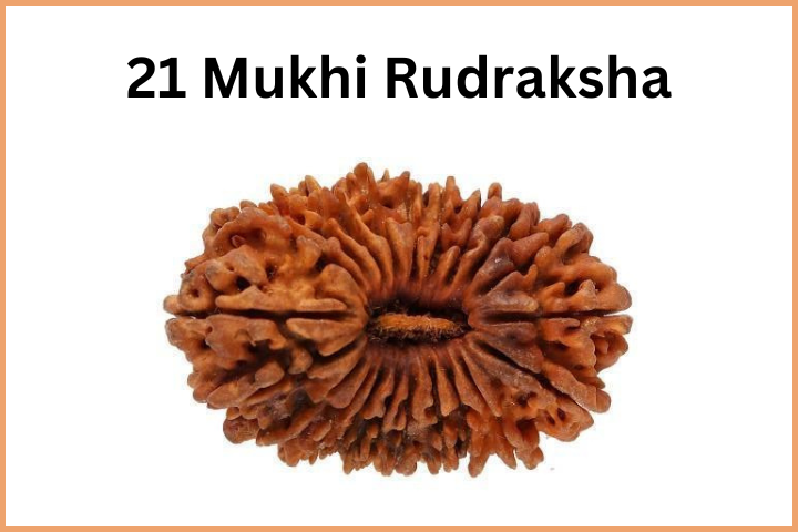 21 Mukhi