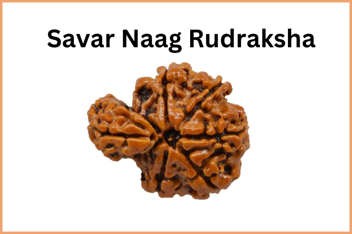 Savar Naag Bead