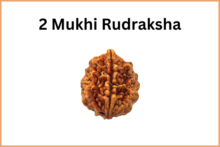 Types of Rudraksha (3)