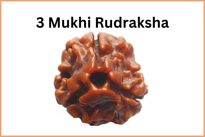 Types of Rudraksha (4)