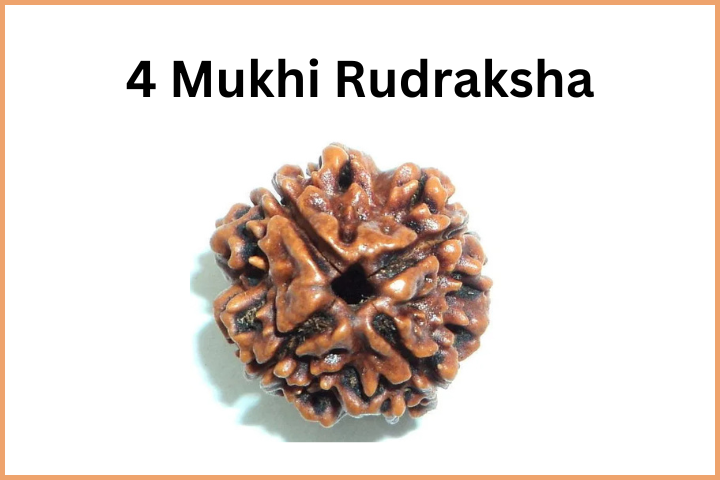 Types of Rudraksha (5)