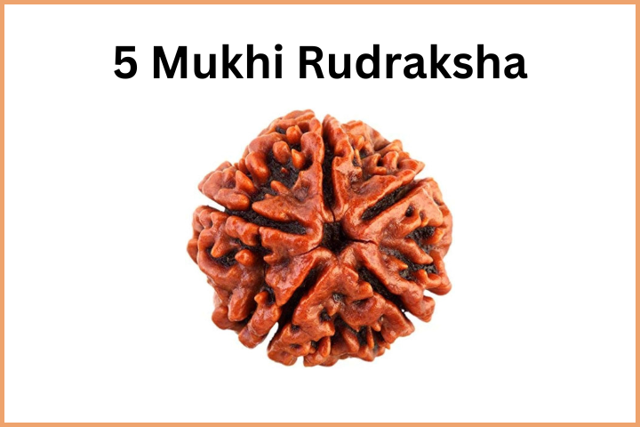 Types of Rudraksha (6)