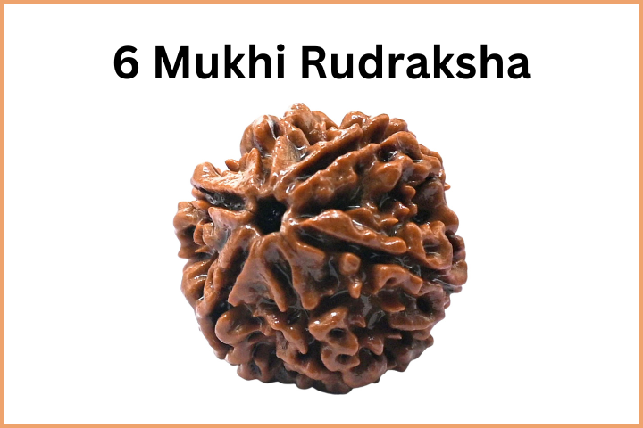 Types of Rudraksha (7)