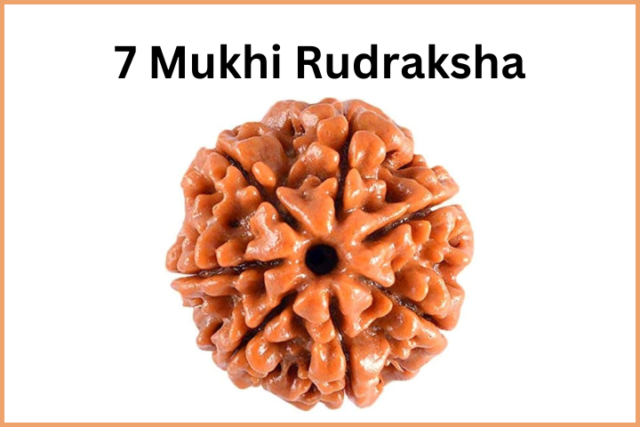 Types of Rudraksha (8)