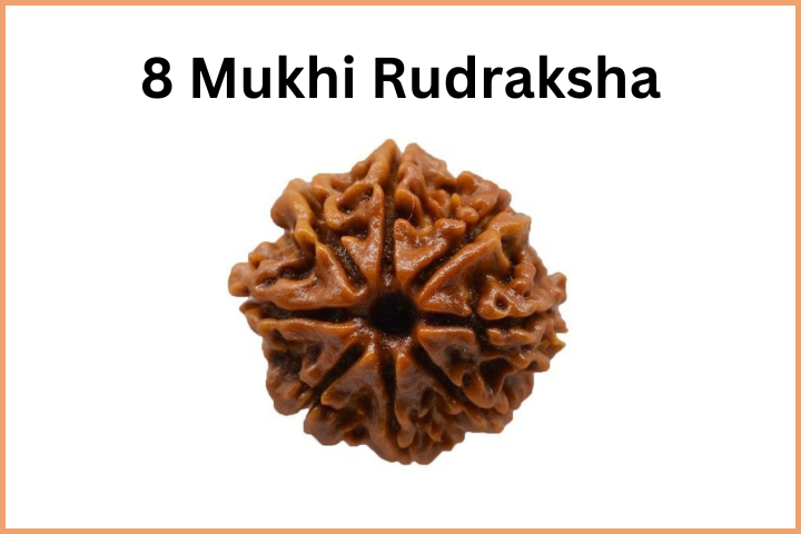 Types of Rudraksha (9)