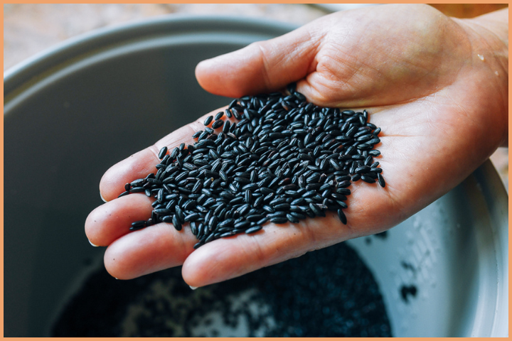 Black food grain
