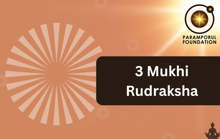 3 Mukhi Rudraksha