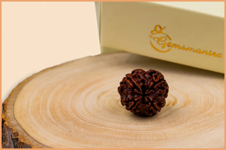 4 Mukhi Rudraksha Bead