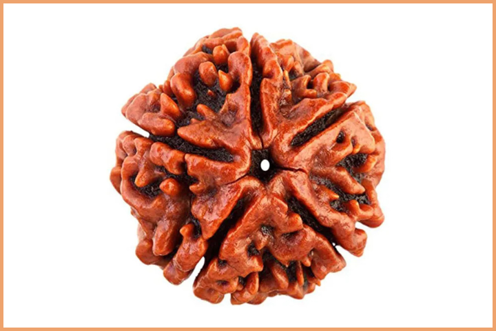 5 Mukhi Rudraksha bead