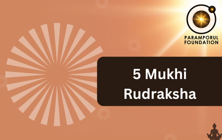 5 Mukhi Rudraksha (4)