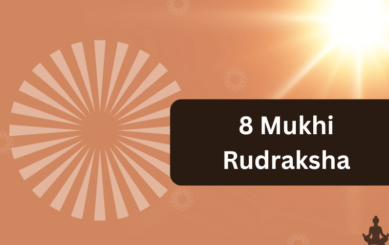 8 Mukhi Rudraksha