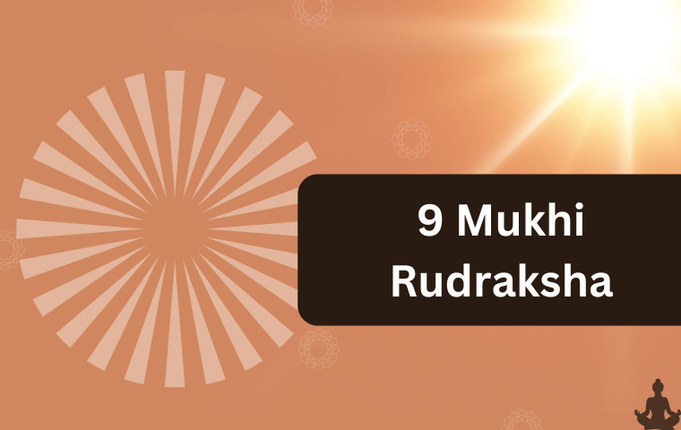 9 Mukhi Rudraksha (3)